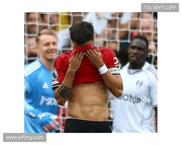 莱因克尔称B费是英超赛季最佳